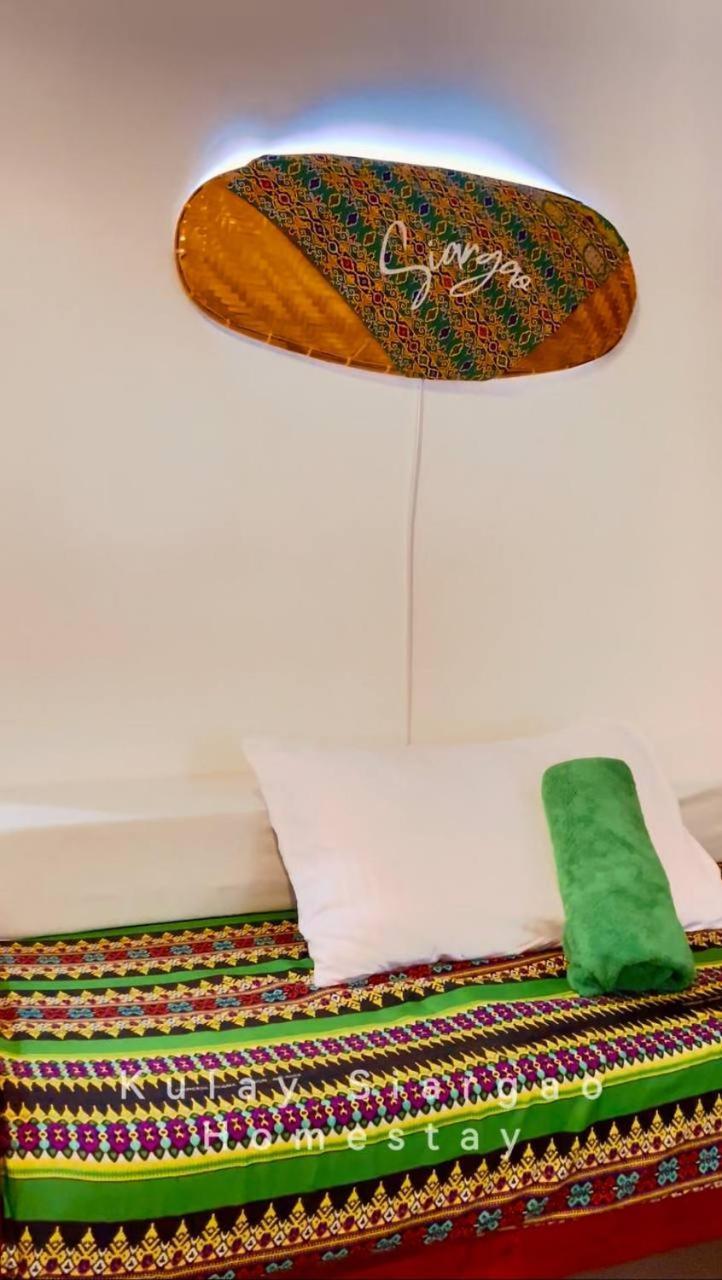 Ameeza Houze Homestay - Siargao ゼネラル・ルナ エクステリア 写真